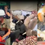 Autoridades de Colombia reportan 485 animales rescatados tras terremoto