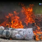 Destruyen 1.3 toneladas de droga incautada por la Marina Nacional