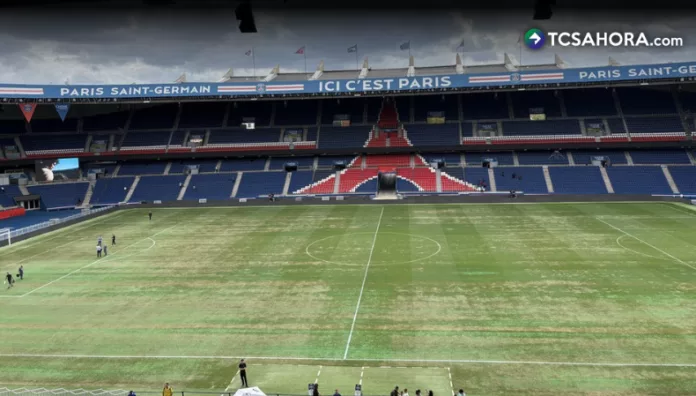 El césped del Parque de los Príncipes del PSG se encuentra en mal estado debido a la ola de calor que azotó en Francia.