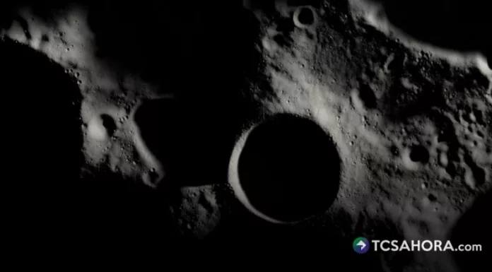 La NASA reveló que algunos microbios transportados por los seres humanos podrían sobrevivir en rincones del Polo Sur de la Luna.