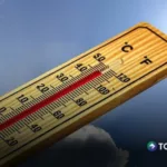 Alemania registra 14,000 muertes por ola de calor