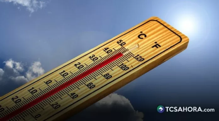 Alemania registró alrededor de 14,000 muertes relacionadas con el calor y las personas de 75 años son las más afectadas.