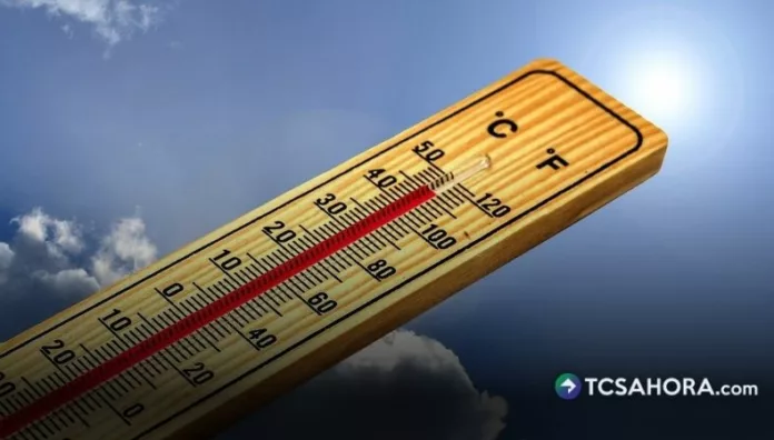 Alemania registró alrededor de 14,000 muertes relacionadas con el calor y las personas de 75 años son las más afectadas.