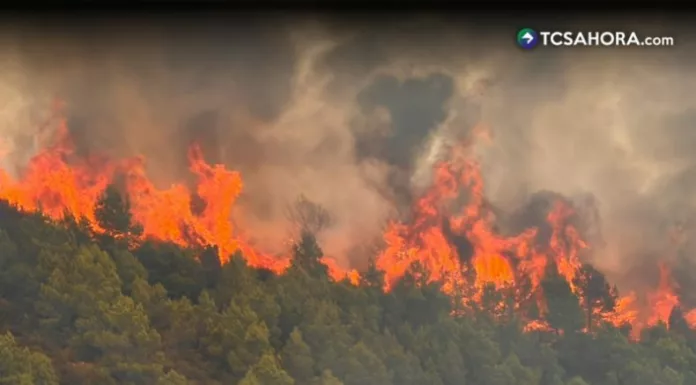 Incendio forestal consume 133 hectáreas en Comunidad Valenciana