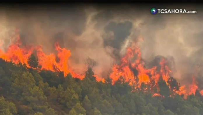 Incendio forestal consume 133 hectáreas en Comunidad Valenciana