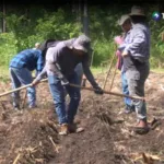 UES investiga semillas criollas que se adapten al calor