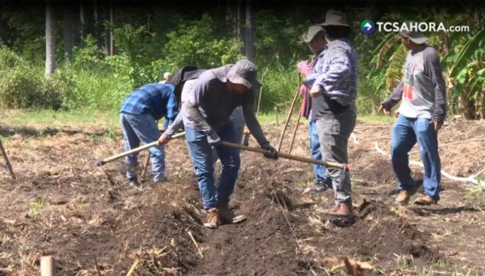 UES investiga semillas criollas que se adapten al calor