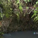 Pozos y nacimientos pierden agua por la sequía