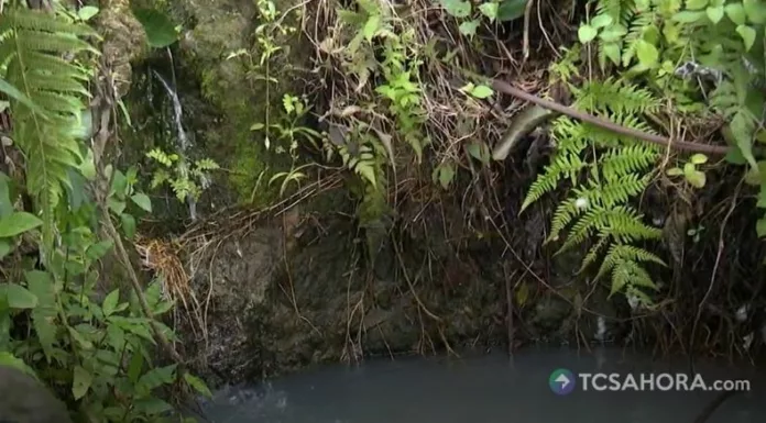 La falta de agua preocupa a familias de San Rafael, en San Marcos, ante la reducción del caudal en pozos y nacimientos.