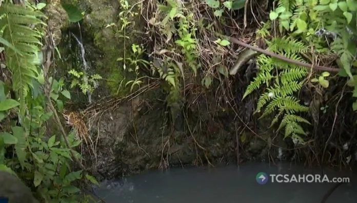La falta de agua preocupa a familias de San Rafael, en San Marcos, ante la reducción del caudal en pozos y nacimientos.