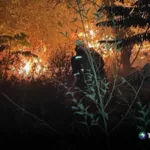Colombia reporta 14 incendios forestales activos