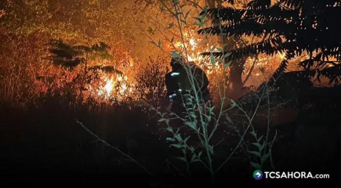 Colombia reporta 14 incendios forestales activos