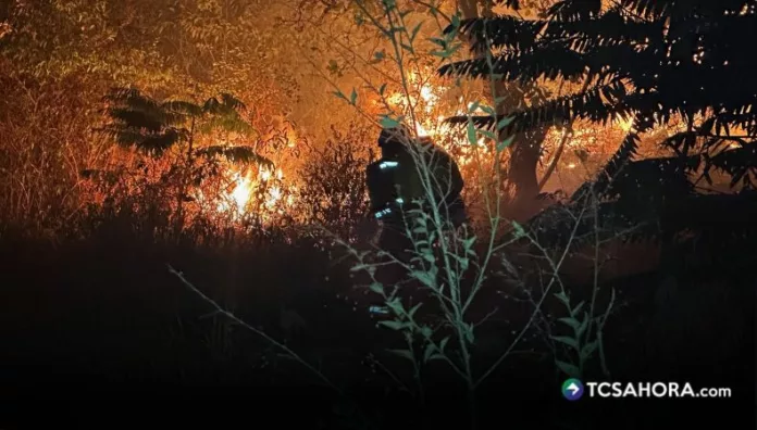 Colombia reporta 14 incendios forestales activos