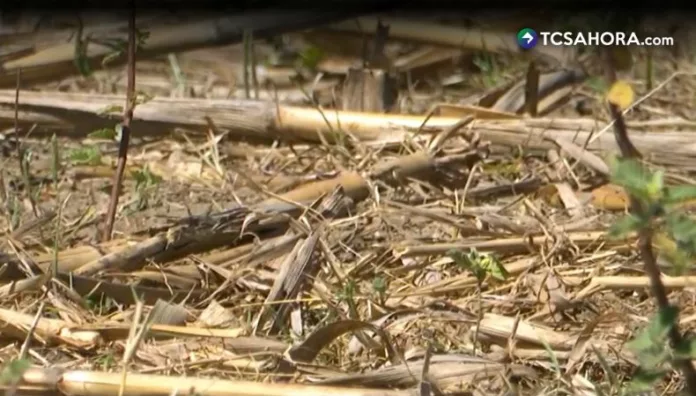 Protección Civil emite alerta roja por sequía meteorológica y agrícola