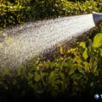 Altas temperaturas ponen a prueba la vegetación