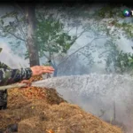 Colombia declara calamidad pública por incendios forestales