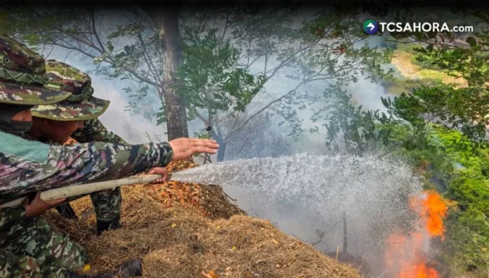 Colombia declara calamidad pública por incendios forestales