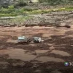 Más de 20 desaparecidos tras inundaciones en Gran Cañón