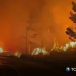 Incendios forestales en Indonesia arrasan miles de hectáreas