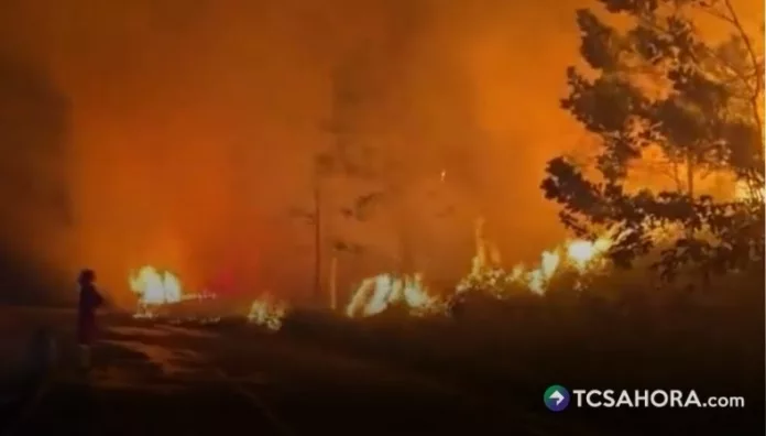 Indonesia enfrenta cientos de incendios forestales que arden desde hace semanas en distintas zonas del archipiélago.