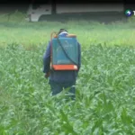 Agricultores se preparan para la segunda siembra del año