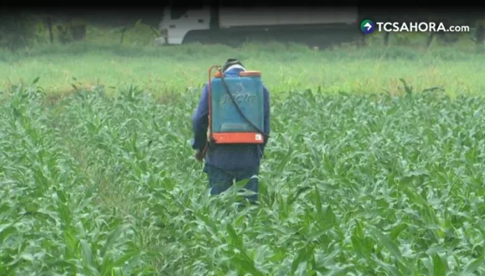 Agricultores se preparan para la segunda siembra del año