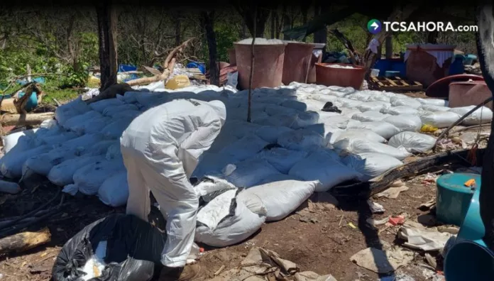 Desmantelan laboratorios clandestinos de drogas en México