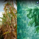 ¿Cuáles son las proyecciones climáticas para septiembre?