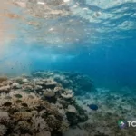 Fenómeno de El Niño afecta la actividad pesquera
