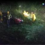 Al menos siete personas fueron rescatadas tras caída de árboles