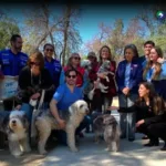 Chile elimina la rabia transmitida por perros a humanos