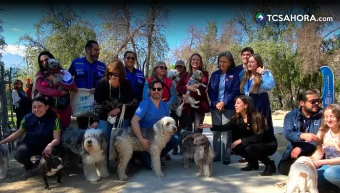 Chile elimina la rabia transmitida por perros a humanos