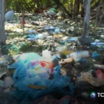 Basura y malos olores afectan manglar del Estero de Jaltepeque