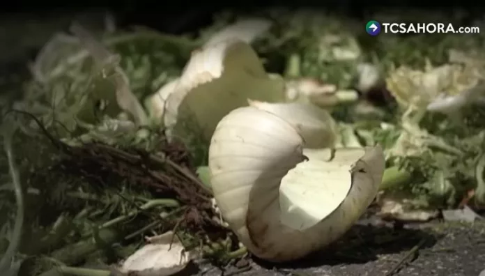 Millones de toneladas de alimentos se pierden en el mundo