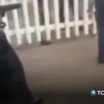 Detienen a dos hermanos por ataque escolar en México