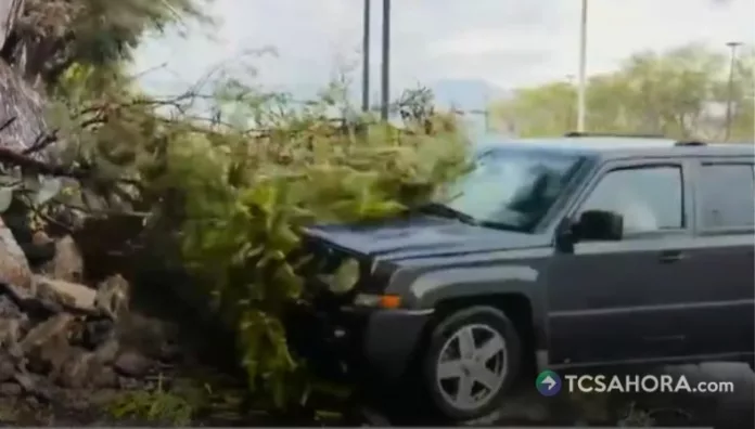 El equipo de una televisora fue atropellado por una camioneta mientras realizaba una transmisión en vivo en Monterrey, Nuevo León, México.