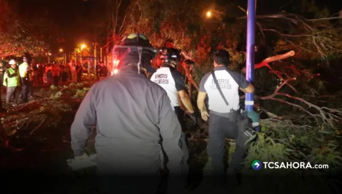 Un árbol cayó sobre un grupo que participaba en una clase de zumba en la plaza El Guipil, en Ciudad de Guatemala. Bomberos atendieron a 10 personas.
