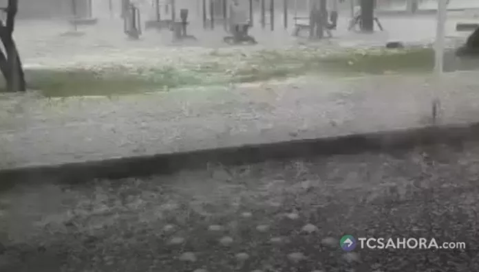Como consecuencia de la granizada en Bogotá, cayeron cinco árboles y varios puntos de la ciudad quedaron anegados.