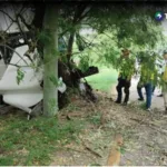 Camión colisiona en arriate de autopista a Comalapa