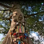 La «Virgen de la Ceiba» despierta la fe en San Julián, Sonsonate