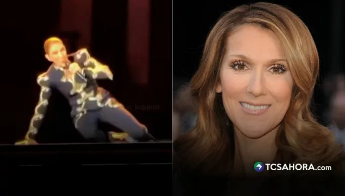 Céline Dion perdió el equilibrio mientras interpretaba una canción en París. Su reacción frente al público quedó grabada.