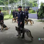 Estados Unidos entrega seis nuevos caninos a la PNC