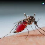 Casos sospechosos de dengue superan los 300 por semana en El Salvador