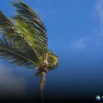 Medio Ambiente prevé llegada de vientos nortes débiles