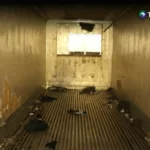 Condenan a guatemalteco por 53 muertes en un caso de tráfico de personas