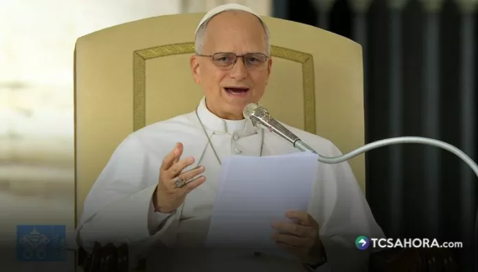 Papa León XIV participa en su primera audiencia tras su cirugía 