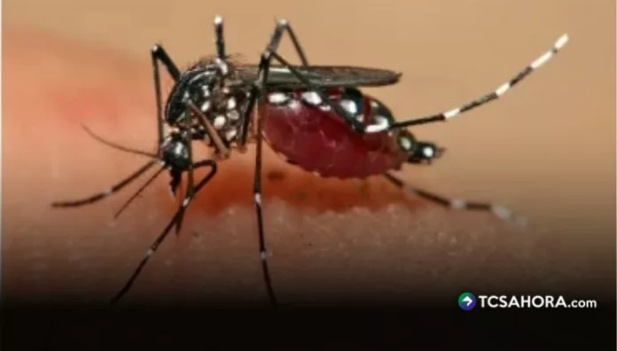 Panamá suma 10,419 casos de dengue tras 740 nuevos contagios, aunque la cifra sigue por debajo de la registrada en 2025 a la misma fecha.