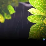 Lluvias puntuales continuarán esta noche