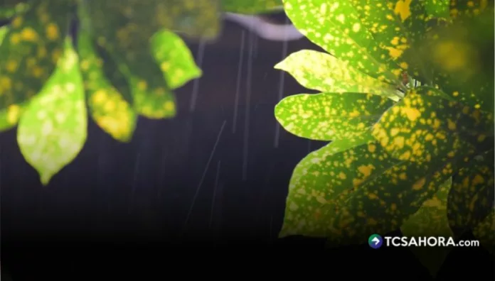 Según el pronóstico, las lluvias puntuales se registrarán esta noche en el oriente del territorio salvadoreño y sectores costeros.