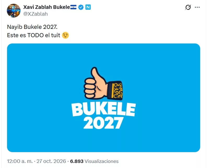 Inicia periodo de propaganda electoral por la presidencia